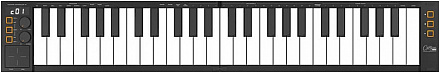 MIDI-клавиатура BLACKSTAR CARRY-ON FC-49