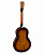 Резонаторная гитара Tricone BATON ROUGE RR21T/12-SB