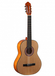 Классическая гитара COLOMBO LC-3911/N