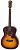 Акустическая гитара ARIA-101 MTTS