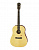 Акустическая гитара ARIA MF-240 MTN