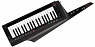 Клавитара KORG RK-100S 2 BK