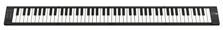 Складное фортепиано Carry-On FP-88-T-BK