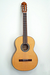 Классическая гитара CORT AC70-SG